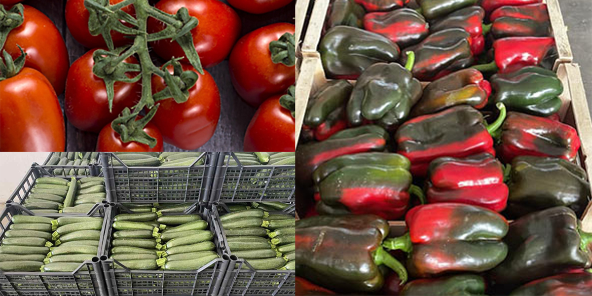 Ortaggi, mercato stabile in vista di Pasqua: peperoni al top, zucchine in sofferenza